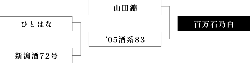 育成の系譜のチャート