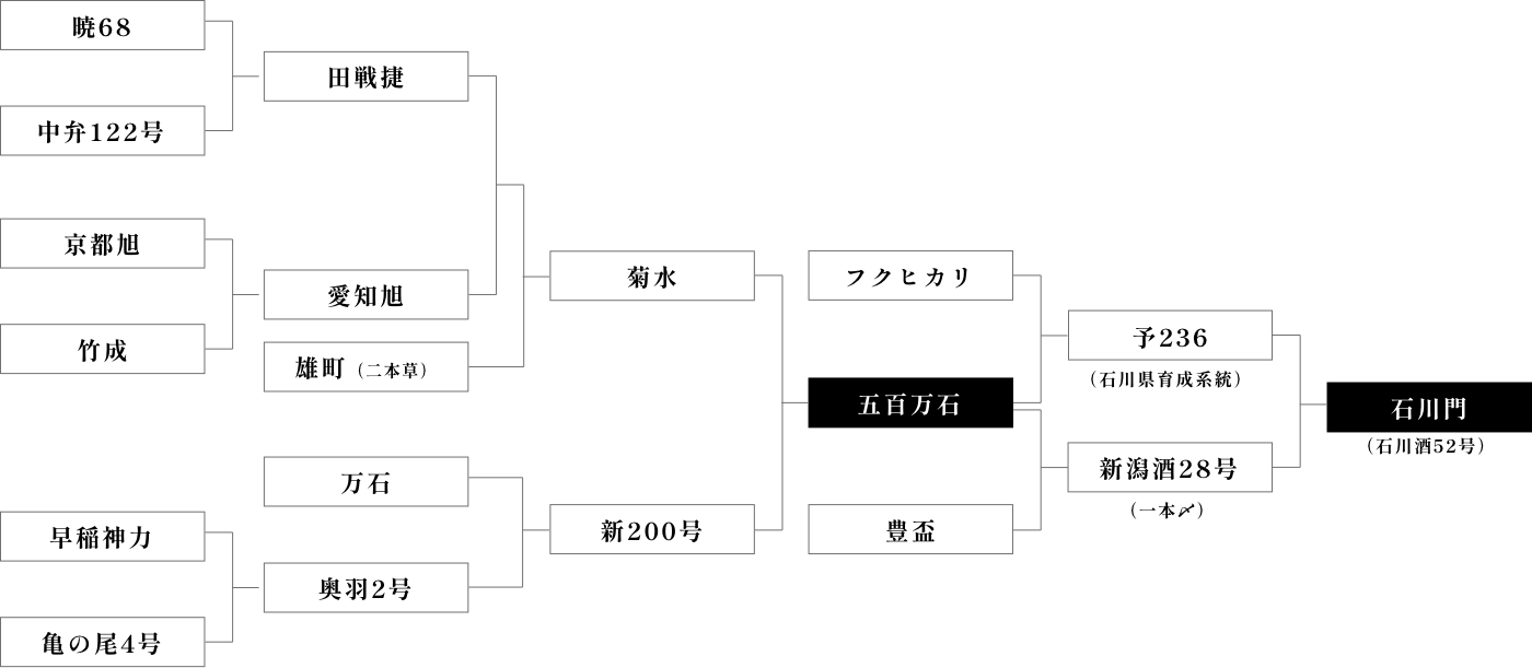 育成の系譜のチャート